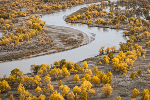 Bức tường xanh vĩ đại của Tân Cương biến Taklimakan thành ốc đảo video poster