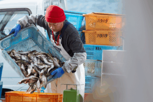 Căng thẳng Nhật Bản-Trung Quốc Đại Lục đe dọa sinh kế đánh cá của Okinawa video poster