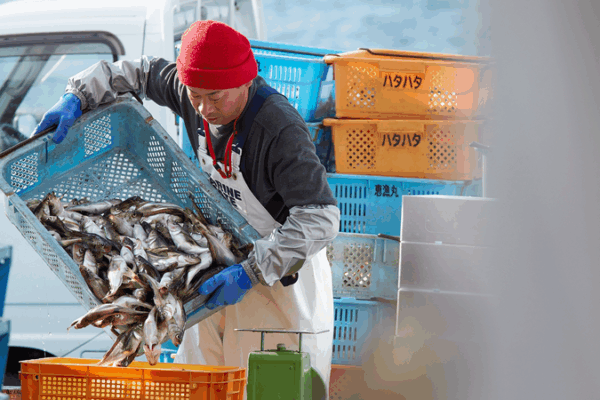 Căng thẳng Nhật Bản-Trung Quốc Đại Lục đe dọa sinh kế đánh cá của Okinawa video poster