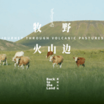 KSVTYO6TEYJOT748PGR1 - Thế Giới Trong Tầm Tay Bên trong Ulanqab: Khám phá đồng cỏ núi lửa của Nội Mông video poster