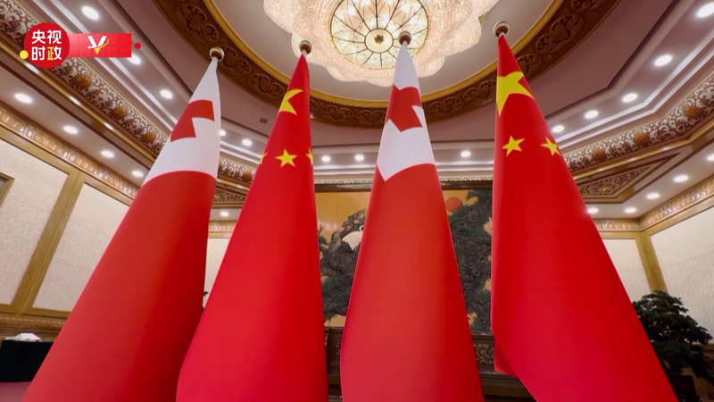 Tập Cận Bình gặp Vua Tupou VI của Tonga tại Bắc Kinh