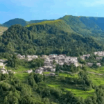 LTA7XIVSWMKN8U2R5OXC - Thế Giới Trong Tầm Tay Sự chuyển mình xanh của huyện Anji: Từ mỏ đá đến vàng sinh thái