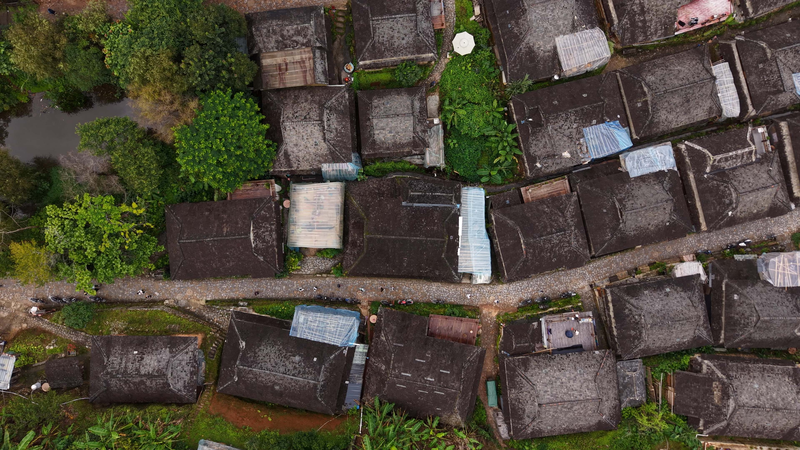 Trí Tuệ Cổ Xưa của Rừng Trà Jingmai ở Vân Nam video poster