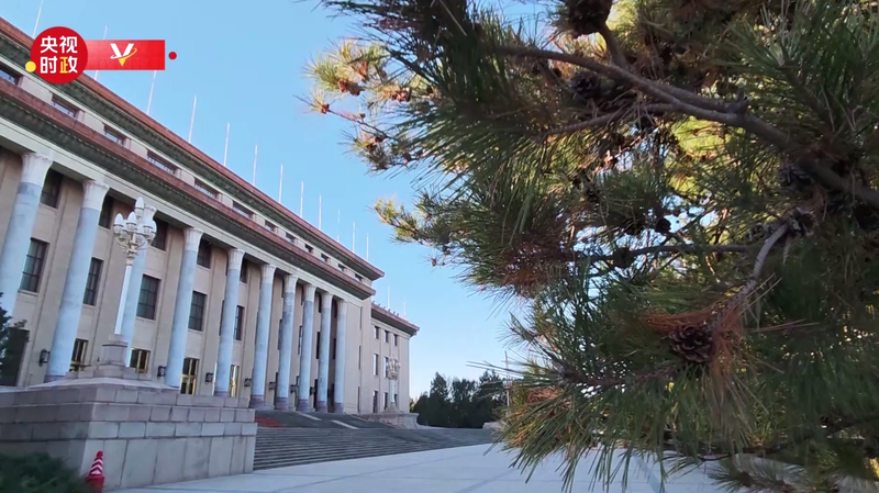 Tập Cận Bình Chào Đón Vua Tupou VI của Tonga tại Bắc Kinh