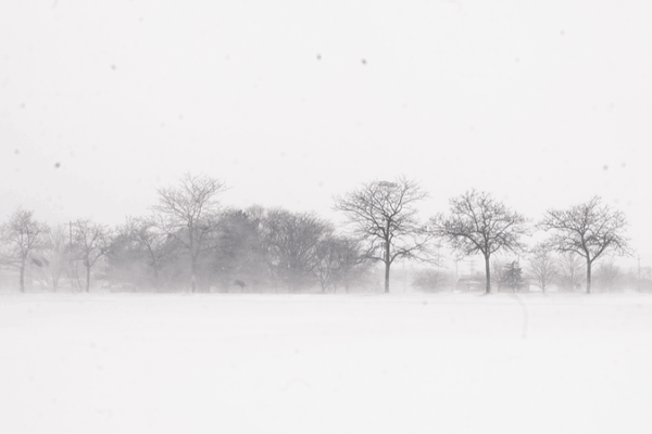 Michigan dưới cảnh báo bão mùa đông: Tuyết dày đang đến video poster