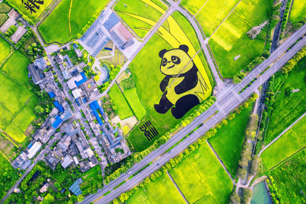 Thanh niên Trung Quốc đổi mới để chấm dứt nạn đói Thanh niên Trung Quốc đổi mới để chấm dứt nạn đói