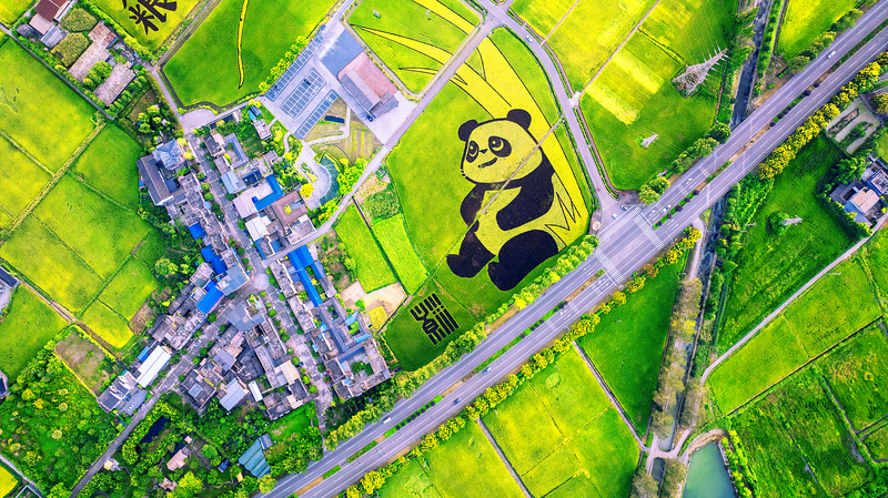 Thanh niên Trung Quốc đổi mới để chấm dứt nạn đói