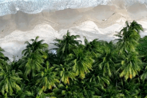 Khám phá Biển Sữa Mộng Mơ của Qionghai: Bờ San Hô Ẩn Dấu của Hải Nam video poster