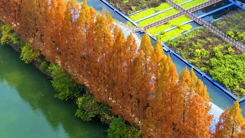 Trung Quốc Đại Lục công bố quy định giám sát sinh thái mới cho năm 2026