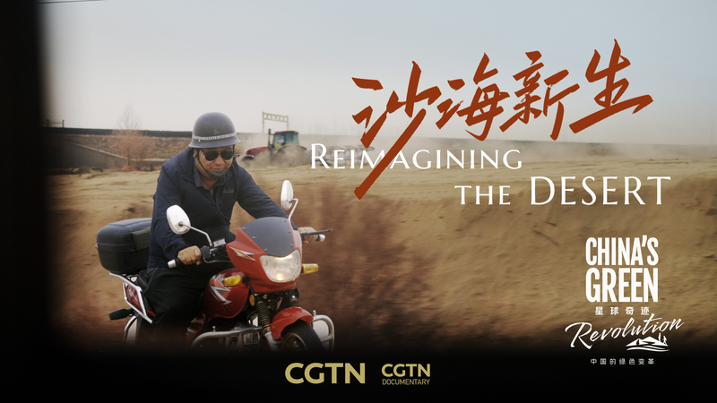 Gặp gỡ Những Người Bảo Vệ Sa Mạc Phía Sau Bức Tường Xanh 3.000 km của Taklimakan