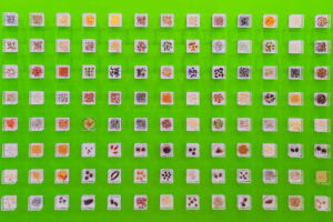 Bắc Kinh dẫn đầu thế giới về bảo tồn nguồn gen cây trồng