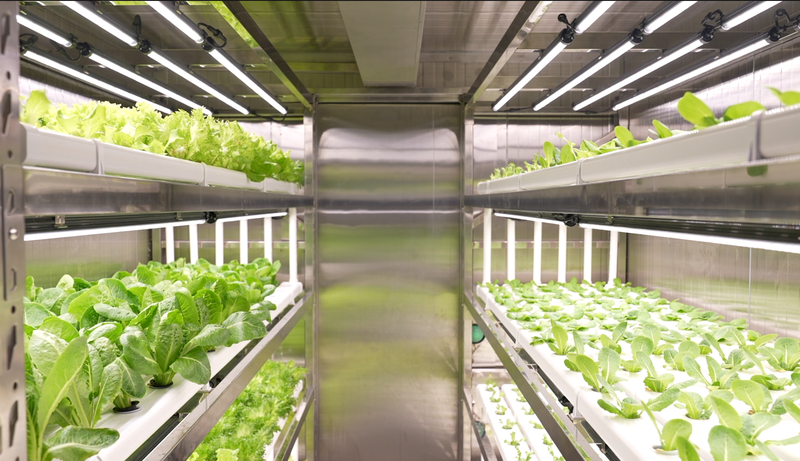 Đại lục Trung Quốc ra mắt mô-đun trồng thông minh đầu tiên trên thế giới video poster