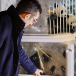 4BD7V0AJ31CV32KA19O8 - Thế Giới Trong Tầm Tay Pháp sẽ chào đón những chú gấu trúc khổng lồ mới vào năm 2027