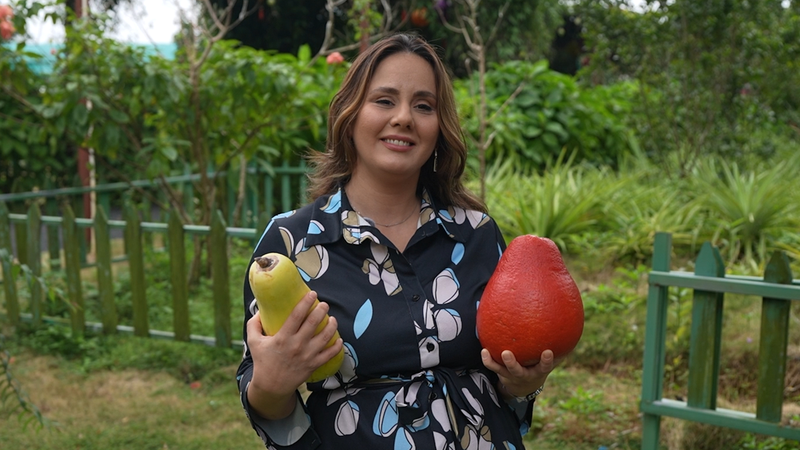 5IVUDTDHYVADSVZI9M0S - Thế Giới Trong Tầm Tay Cuộc Cách Mạng Nhiệt Đới Hainan: Chính Sách Thương Mại Mới Thúc Đẩy Đổi Mới Trái Cây Toàn Cầu video poster