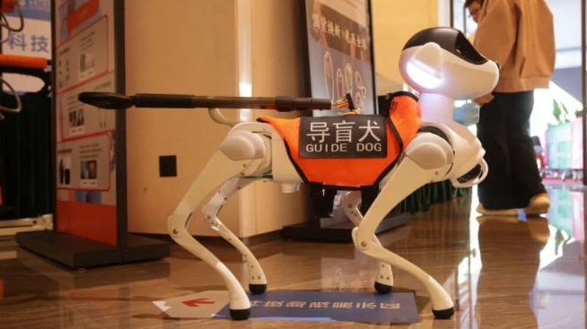 7LKQXM5GKW0T7X225C6Y - Thế Giới Trong Tầm Tay Cuộc cách mạng thể thao công nghệ của Thâm Quyến