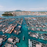 Mê cung nổi: Khám phá làng Tanka 500 năm tuổi ở Hải Nam