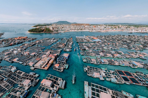 Mê cung nổi: Khám phá làng Tanka 500 năm tuổi ở Hải Nam