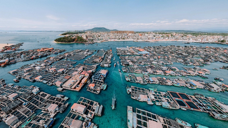 Mê cung nổi: Khám phá làng Tanka 500 năm tuổi ở Hải Nam