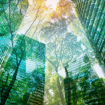 AILWIMK10M7DZTR4ZW4Q - Thế Giới Trong Tầm Tay WEF-BCG: Nền Kinh Tế Xanh Sẽ Đạt 7 Nghìn Tỷ USD Vào Năm 2030