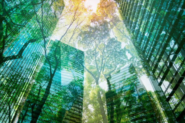 WEF-BCG: Nền Kinh Tế Xanh Sẽ Đạt 7 Nghìn Tỷ USD Vào Năm 2030