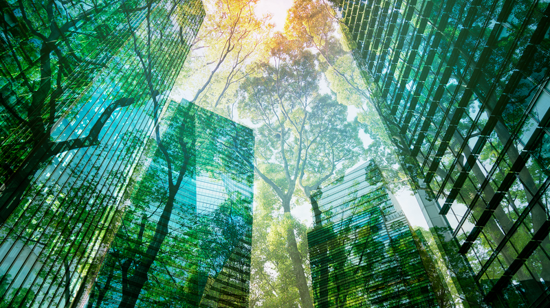 AILWIMK10M7DZTR4ZW4Q - Thế Giới Trong Tầm Tay WEF-BCG: Nền Kinh Tế Xanh Sẽ Đạt 7 Nghìn Tỷ USD Vào Năm 2030