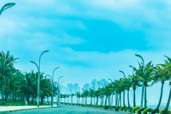 Khám phá Đảo Hoa Đại Dương: Kỳ quan bên biển của Danzhou video poster