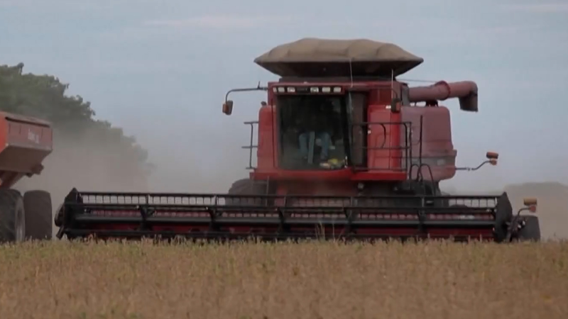 CQF0FHDK8QAGC99NIC4U - Thế Giới Trong Tầm Tay Trump công bố gói hỗ trợ nông dân trị giá 12 tỷ USD giữa thỏa thuận thương mại video poster