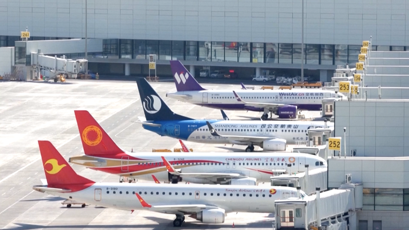 Du lịch Nhật Bản bị ảnh hưởng bởi hủy chuyến bay từ Trung Quốc đại lục video poster