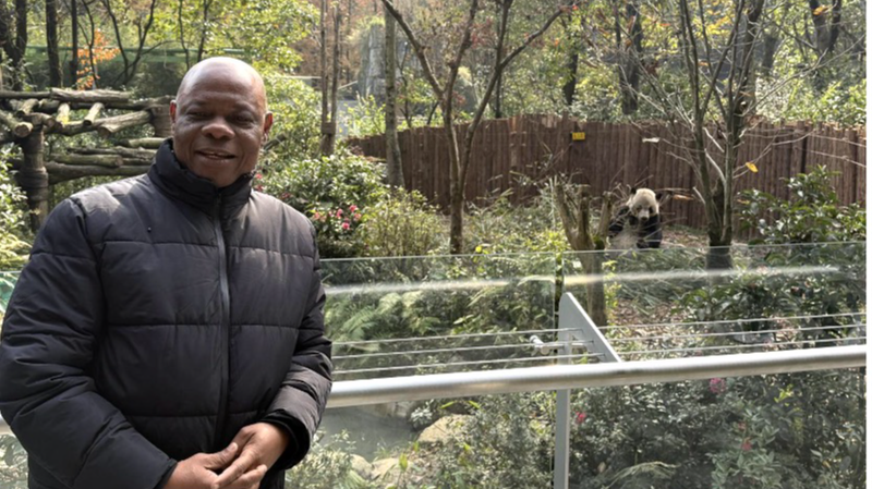 Hành trình bảo tồn gấu trúc ở Trung Quốc