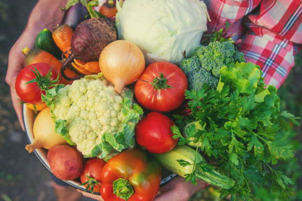 CSSC ra mắt Trang trại Thông minh trên tàu để sản xuất rau quả tươi ngoài khơi