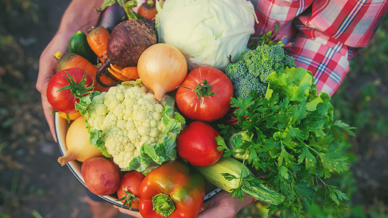 GMPZA5R3WT5AKKO2DCGV - Thế Giới Trong Tầm Tay CSSC ra mắt Trang trại Thông minh trên tàu để sản xuất rau quả tươi ngoài khơi