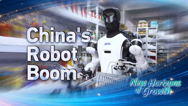 Từ 'Đồ chơi lớn' đến Máy móc thông minh: Cuộc cách mạng robot năm 2025 của Trung Quốc video poster