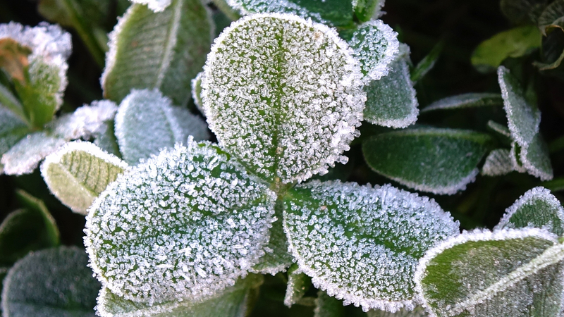 JYQIBTTRKEFRIWXQFSL9 - Thế Giới Trong Tầm Tay Trung Quốc Đại Lục Phát Hành Cảnh Báo Xanh Khi Đợt Lạnh Mang Theo Tuyết Mùa Đông