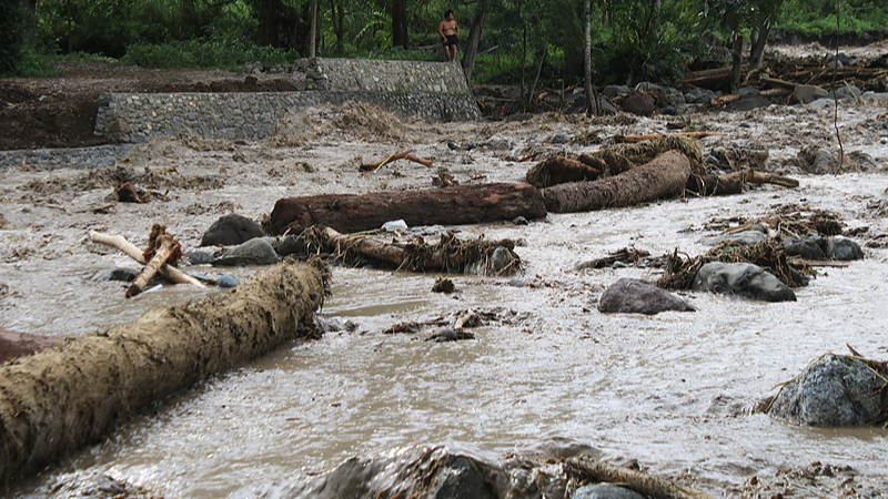 L5PUHO9H2MKST4IXYUPL - Thế Giới Trong Tầm Tay Châu Á bị tấn công bởi 'sóng thần' của bão và mưa gió mùa