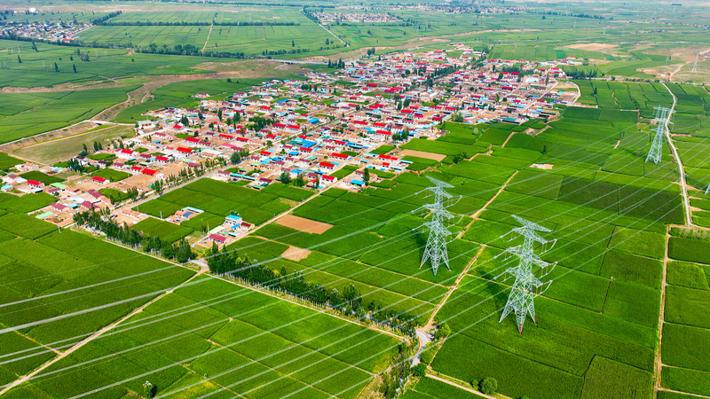 10 câu chuyện tái cơ cấu nông thôn hàng đầu của Trung Quốc năm 2025