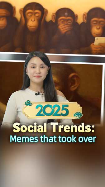 Những Meme Đỉnh Của Năm 2025: Khoảnh Khắc Định Hình Năm Của Chúng Ta video poster