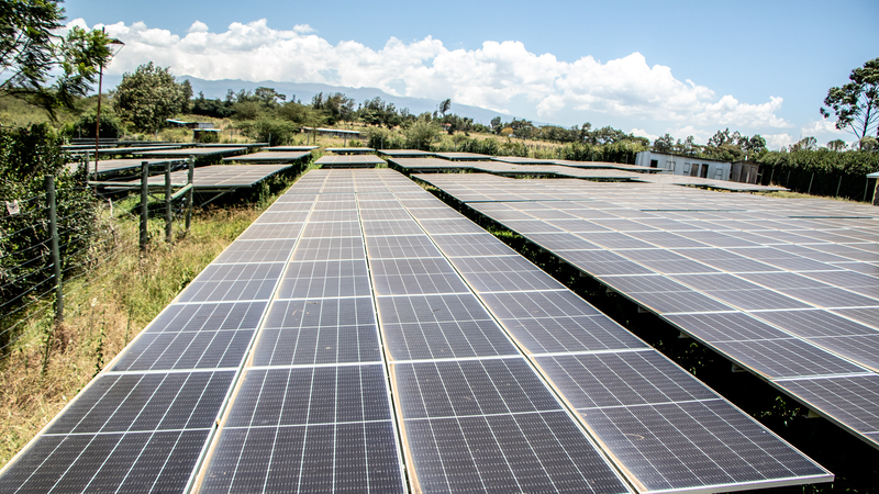 OOK6V8DCFJLDOOYZDHEC - Thế Giới Trong Tầm Tay Năng lượng sạch là chìa khóa hành động vì khí hậu, các chuyên gia từ Trung Quốc đại lục và châu Phi nhận định