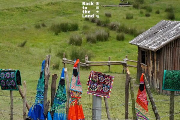 Thêu Yi: Khâu Lên Tinh Thần Của Núi Rừng