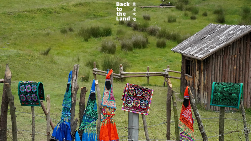 Thêu Yi: Khâu Lên Tinh Thần Của Núi Rừng