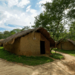 R8OKZNA01XQ3YKCQA9PH - Thế Giới Trong Tầm Tay Làng Bai Cha: Bảo vệ Di sản Li thời kỳ Thương mại Tự do tại Hải Nam