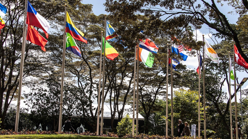 V4F5HWJEFVDCENT0E10G - Thế Giới Trong Tầm Tay Quỹ đa dạng sinh học Kunming do Trung Quốc hậu thuẫn thúc đẩy chương trình nghị sự xanh