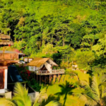 W3CNWD93AAQ29M4UODIJ - Thế Giới Trong Tầm Tay Cắm trại trong rừng tại Baihualing: Kỳ nghỉ cuối tuần ở Hải Nam video poster