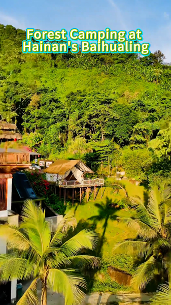 W3CNWD93AAQ29M4UODIJ - Thế Giới Trong Tầm Tay Cắm trại trong rừng tại Baihualing: Kỳ nghỉ cuối tuần ở Hải Nam video poster