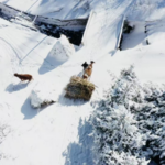 Phép Màu Mùa Đông tại Làng Tuyết Songling