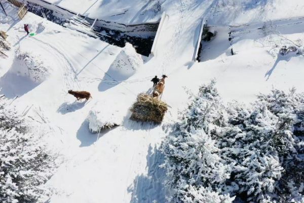 Phép Màu Mùa Đông tại Làng Tuyết Songling