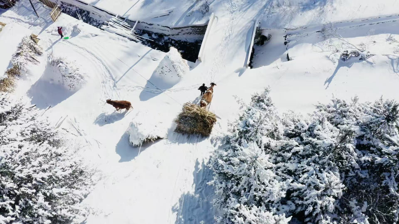 Phép Màu Mùa Đông tại Làng Tuyết Songling