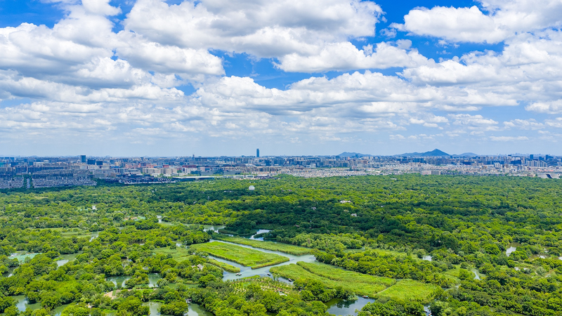 Liên Hợp Quốc Xếp Hạng Hàng Châu Trong Top 20 Thành Phố Không Rác Thải