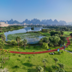 Trung Quốc Trồng 8,5 Triệu Hecta Cây Xanh vào Năm 2025