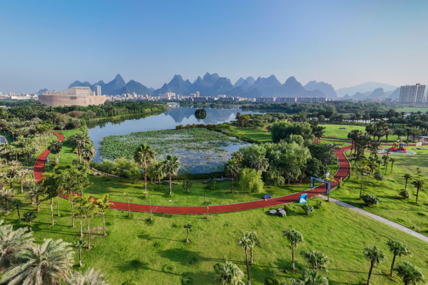 Trung Quốc Trồng 8,5 Triệu Hecta Cây Xanh vào Năm 2025