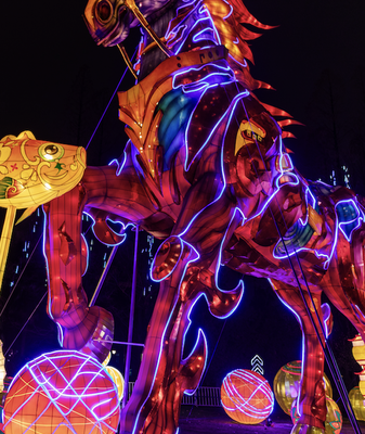 Lễ Hội Đèn Lồng Hefei Kết Hợp Truyền Thống và Công Nghệ Trong Màn Trình Diễn Ngoạn Mục video poster